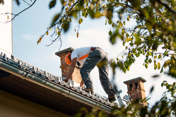 Residential Roof Replacement in Ventress, LA