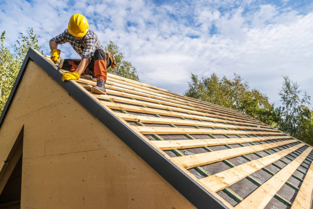Best Shingle Roofing Installation  in Ventress, LA